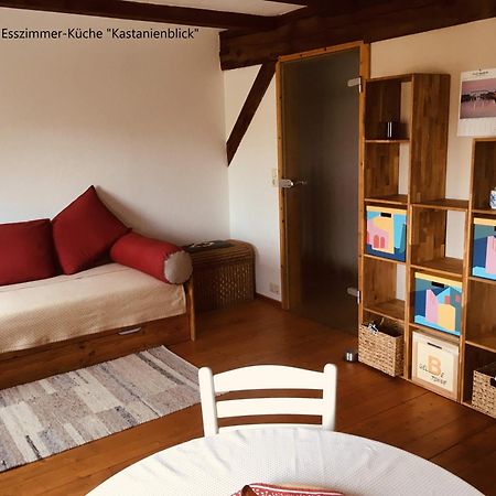 Ferienwohnung Kastanienblick Oder Parkblick, Oder Unser Radlerzimmer! Ziethen  Экстерьер фото