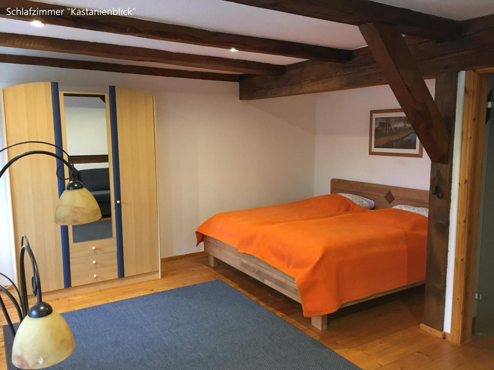 Ferienwohnung Kastanienblick Oder Parkblick, Oder Unser Radlerzimmer! Ziethen  Экстерьер фото
